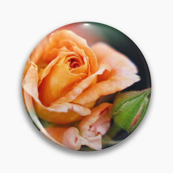 Item preview, Peach Rose in Bloom designed and sold by wendyhattonphotography.