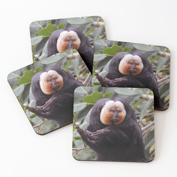 Item preview, White-faced Saki Monkey  designed and sold by Savannah Gibbs.
