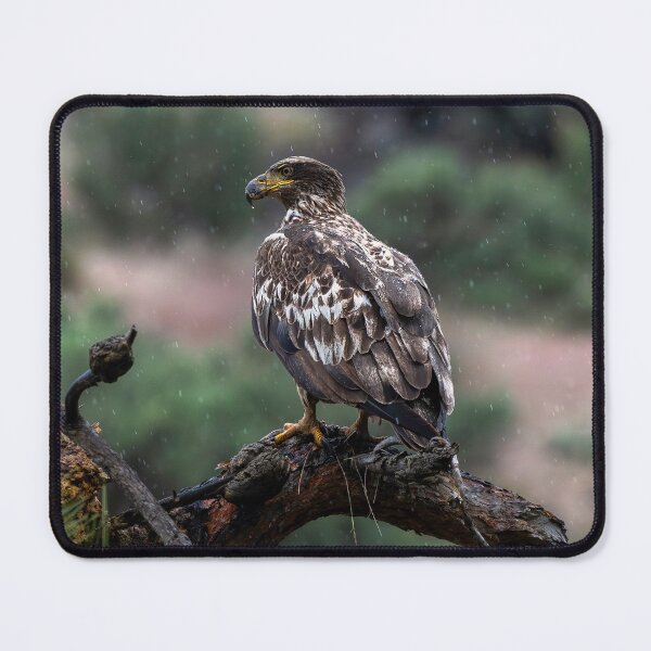 Item preview, Alert in Snow designed and sold by DawsonImages.