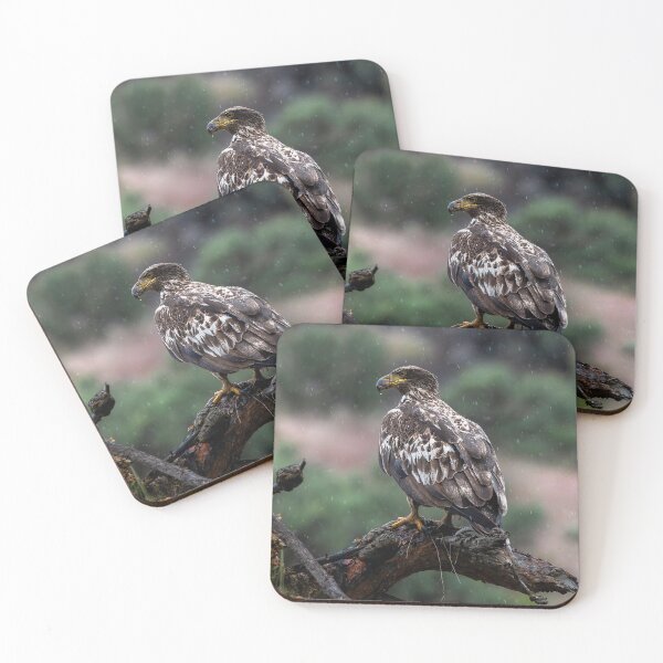 Item preview, Alert in Snow designed and sold by DawsonImages.