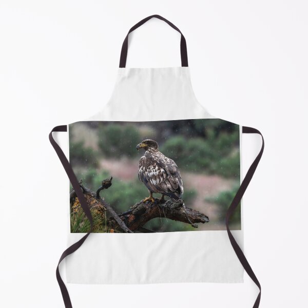 Item preview, Alert in Snow designed and sold by DawsonImages.