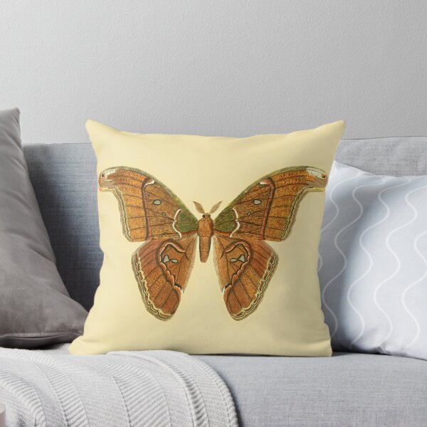 Item preview, Vintage Atlas Moth Illustration designed and sold by footnotes-club.