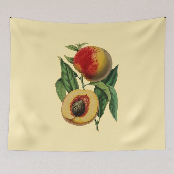 Item preview, Vintage Peach Botanical Illustration designed and sold by footnotes-club.