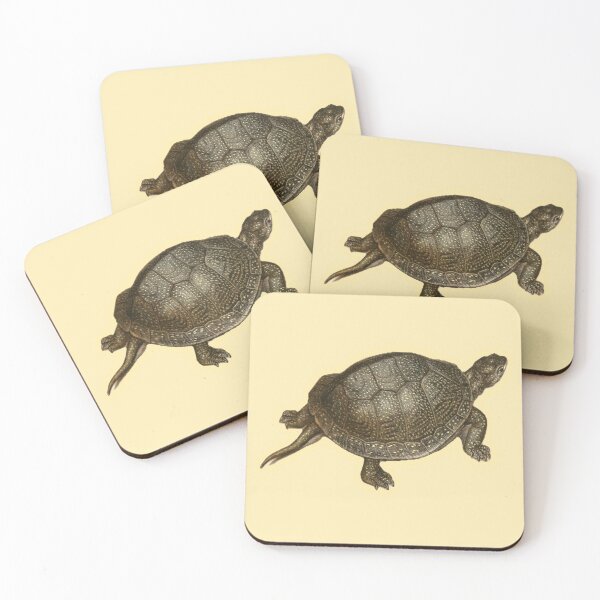 Item preview, Antique Turtle Natural History Print designed and sold by footnotes-club.