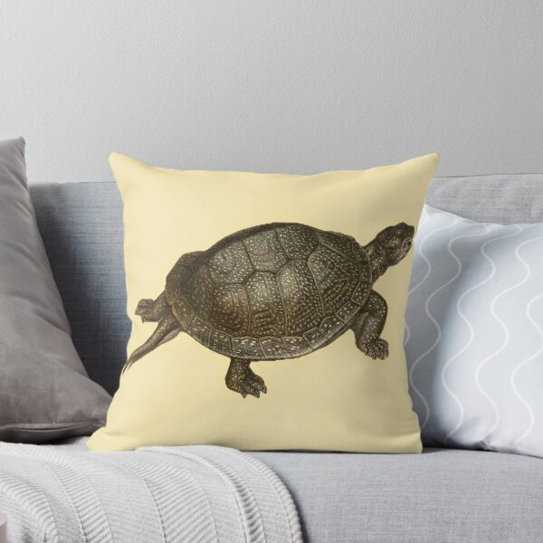 Item preview, Antique Turtle Natural History Print designed and sold by footnotes-club.
