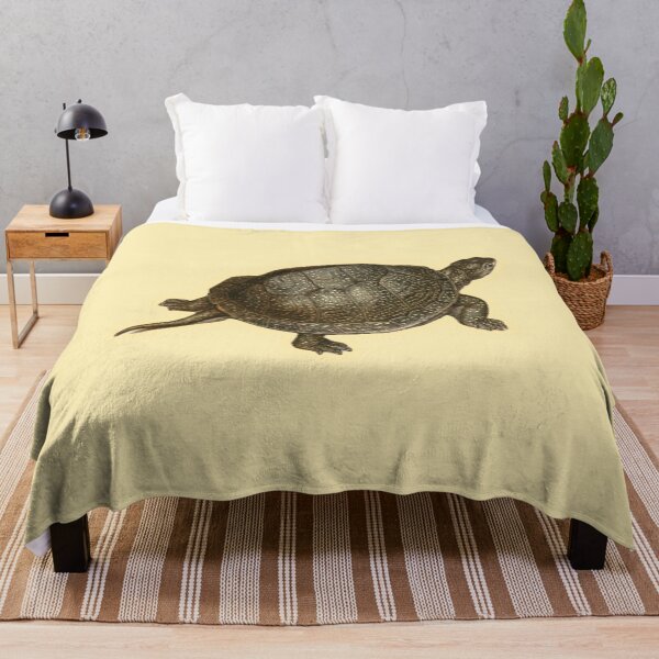 Item preview, Antique Turtle Natural History Print designed and sold by footnotes-club.