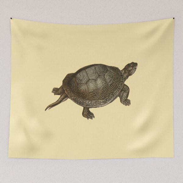 Item preview, Antique Turtle Natural History Print designed and sold by footnotes-club.
