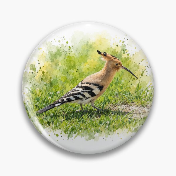 Artikelvorschau, Wiedehopf auf Wiese – naturalistische Vogelillustration entworfen und verkauft von ER Design.