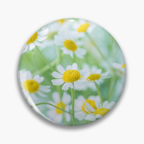 Item preview, White Daisies designed and sold by assaf.