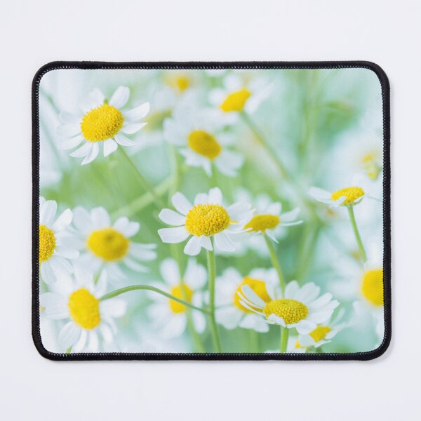 Item preview, White Daisies designed and sold by assaf.