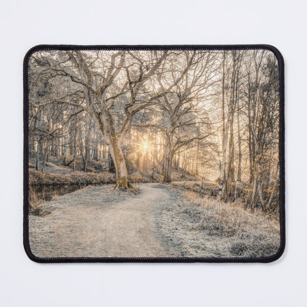 Item preview,  Sepia morning sun through bare trees designed and sold by assaf.