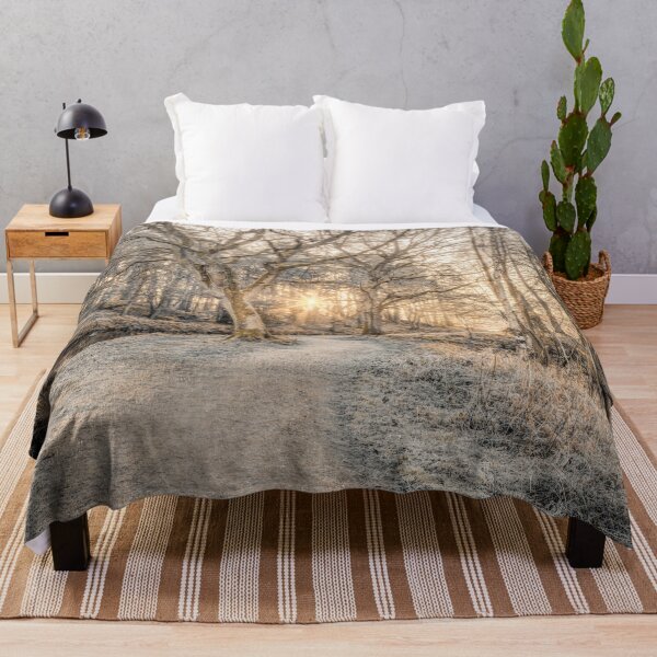 Item preview, Sepia morning sun through bare trees designed and sold by assaf.