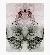 Fey Photographic Print