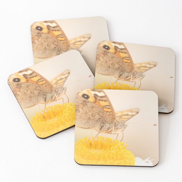 Item preview, Meadow Argus Butterfly designed and sold by robdanimalphotography.