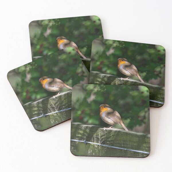 Item preview, Robin standing on fence (Erithacus rubecula) designed and sold by Stephen Jarman.