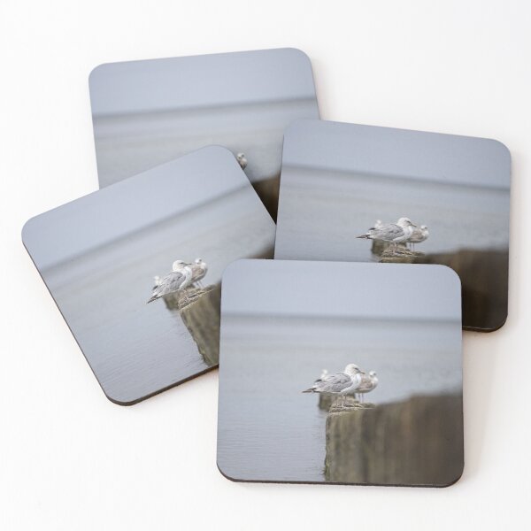 Item preview, Seagull Photography designed and sold by asstravels.