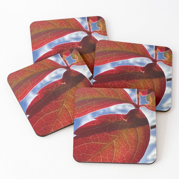 Item preview, Fall/Autumn Colours designed and sold by Ian-M-Stevens.