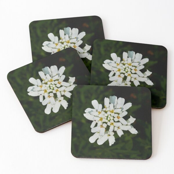 Item preview, Happy New Bloom designed and sold by Eidetic Photos.