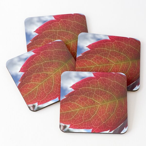 Item preview, Fall/Autumn Colours designed and sold by Ian-M-Stevens.