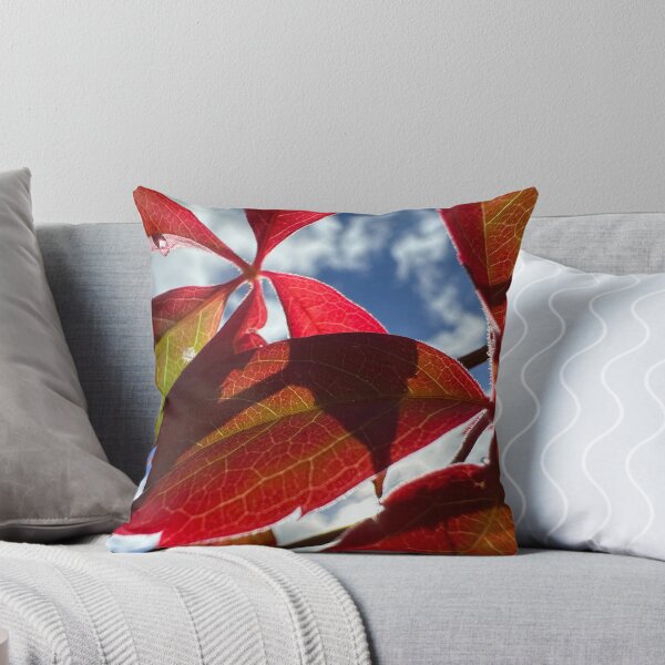 Item preview, Fall/Autumn Colours designed and sold by Ian-M-Stevens.