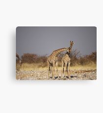 Affection Canvas Print