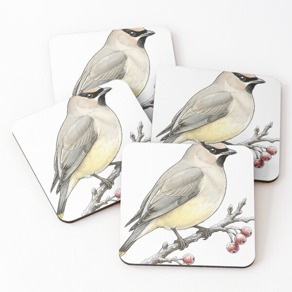 Item preview, Vintage Naturalist Cedar Waxwing - Antique Winter Bird Plate designed and sold by Catch333.