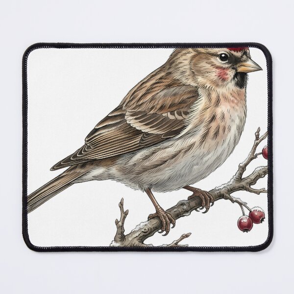 Item preview, Vintage Naturalist Common Redpoll - Antique Winter Finch Plate designed and sold by Catch333.