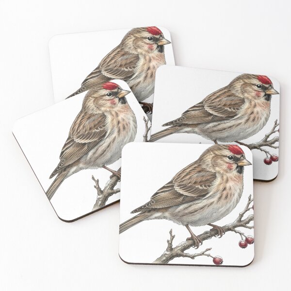 Item preview, Vintage Naturalist Common Redpoll - Antique Winter Finch Plate designed and sold by Catch333.