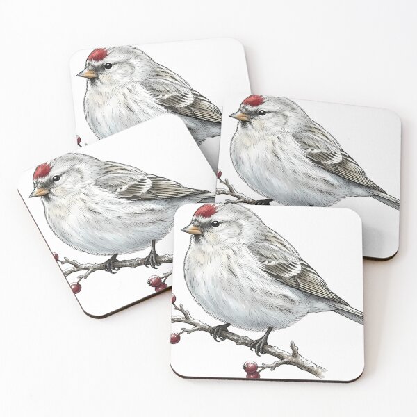 Item preview, Vintage Naturalist Arctic Redpoll - Antique Winter Bird Art designed and sold by Catch333.