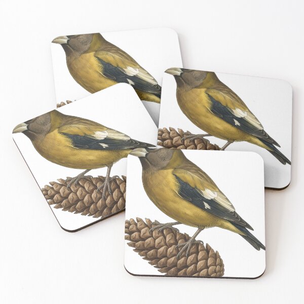 Item preview, Vintage Naturalist Evening Grosbeak - Antique Winter Finch Art designed and sold by Catch333.