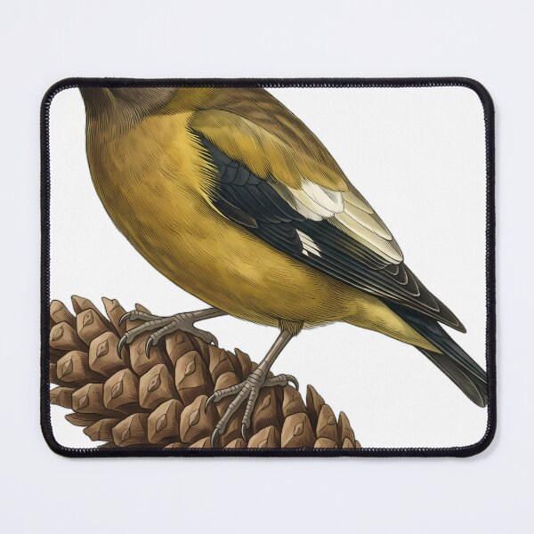 Item preview, Vintage Naturalist Evening Grosbeak - Antique Winter Finch Art designed and sold by Catch333.