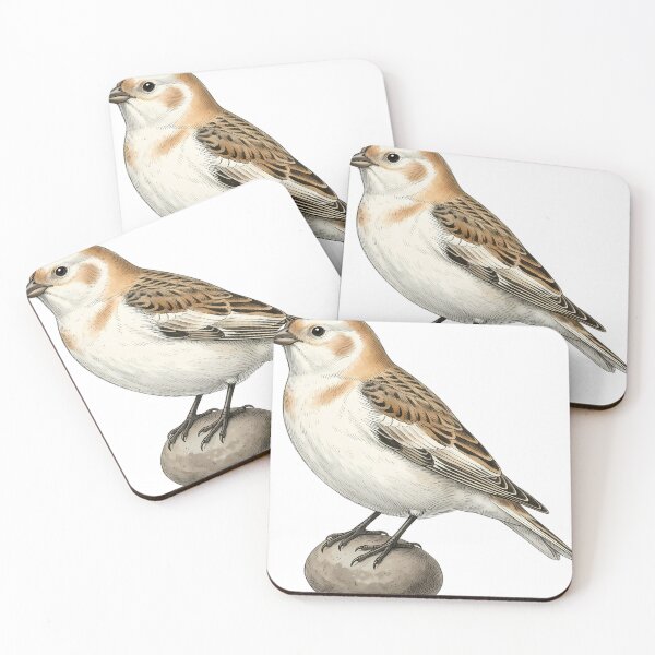 Item preview, Vintage Naturalist Snow Bunting - Antique Winter Bird Plate designed and sold by Catch333.