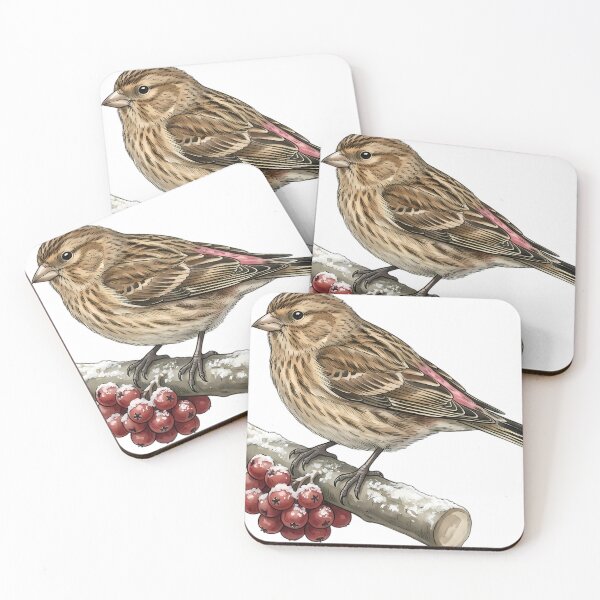 Item preview, Vintage Naturalist Twite - Antique Winter Finch Plate designed and sold by Catch333.