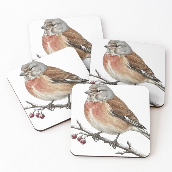 Item preview, Vintage Naturalist Common Linnet - Antique Winter Bird Art designed and sold by Catch333.