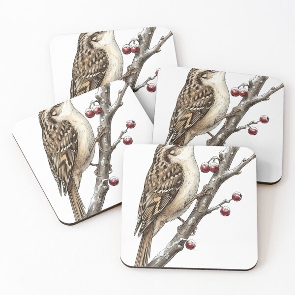Item preview, Vintage Naturalist Eurasian Treecreeper - Antique Winter Bird Plate designed and sold by Catch333.