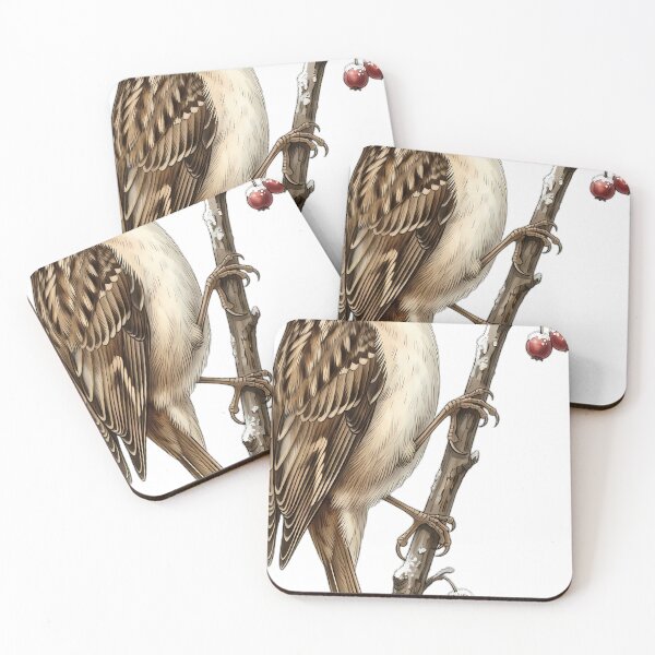 Item preview, Vintage Naturalist Short Toed Treecreeper - Antique Bird Art designed and sold by Catch333.
