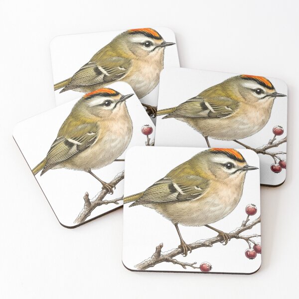 Item preview, Vintage Naturalist Firecrest - Antique Winter Bird Plate designed and sold by Catch333.