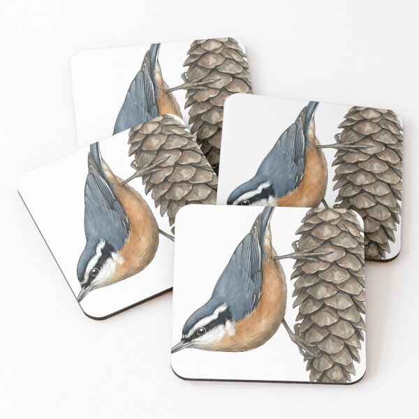 Item preview, Vintage Naturalist Red Breasted Nuthatch - Antique Bird Plate designed and sold by Catch333.