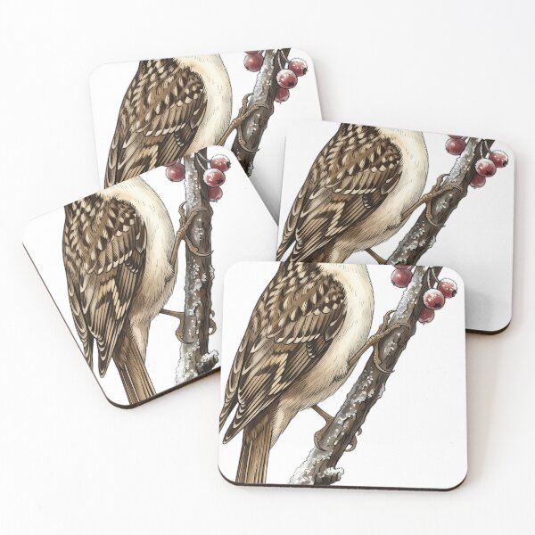 Item preview, Vintage Naturalist Brown Creeper - Antique Winter Bird Plate designed and sold by Catch333.