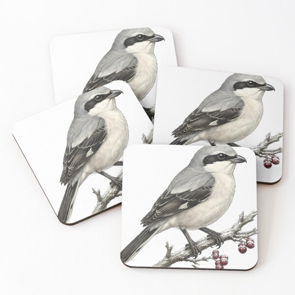 Item preview, Vintage Naturalist Great Grey Shrike - Antique Winter Bird Plate designed and sold by Catch333.