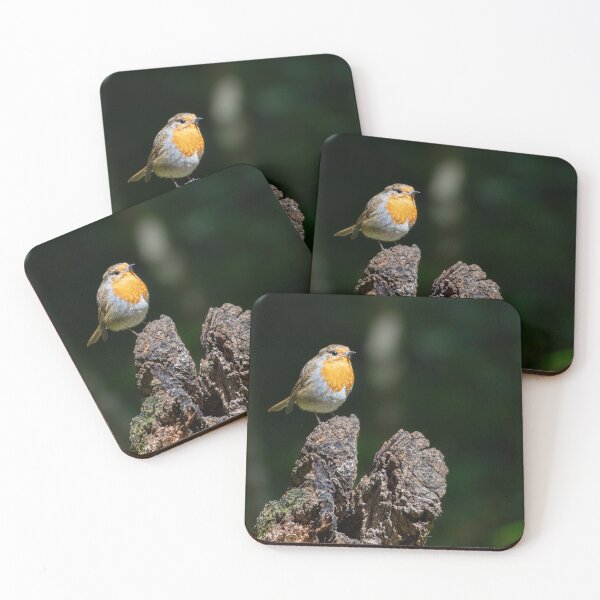 Item preview, Robin standing on a stump (Erithacus rubecula)  designed and sold by Stephen Jarman.