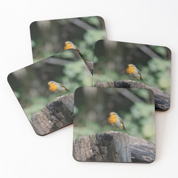 Item preview, Robin standing on a fallen tree (Erithacus rubecula) designed and sold by Stephen Jarman.