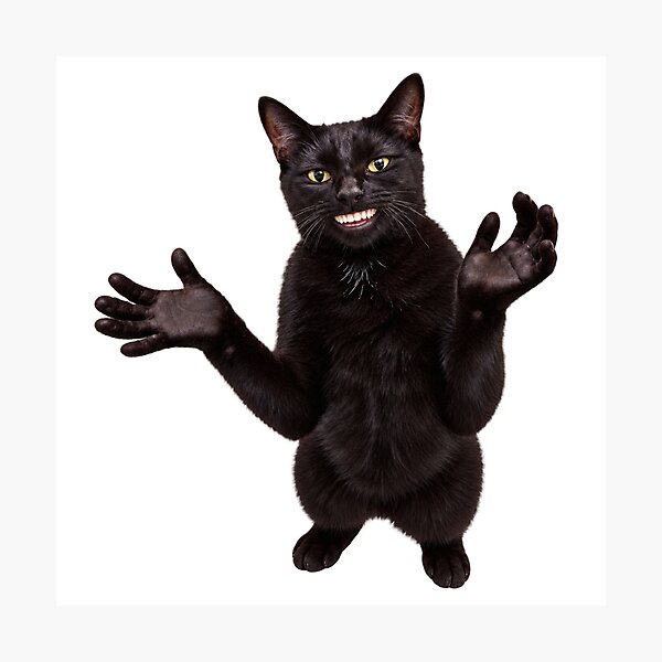 Item preview, funny ai cat meme designed and sold by itswallcraft.