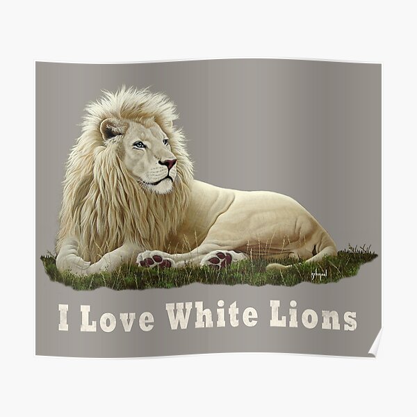 I Love White Lions Poster