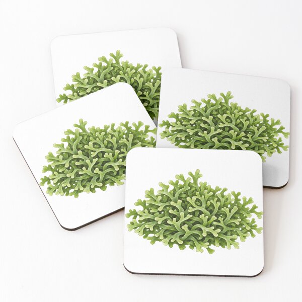 Item preview, Riccia Fluitans Delicate Botanical Oil Portrait designed and sold by Ocelot-T.