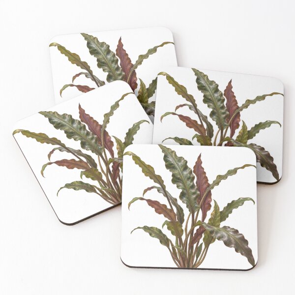 Item preview, Cryptocoryne Crispatula Flowing Rippled Leaf Portrait designed and sold by Ocelot-T.