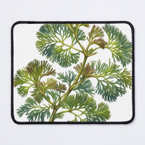 Item preview, Cabomba Aquatica Inspired Botanical Oil Painting designed and sold by Ocelot-T.