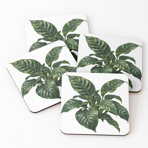 Item preview, Anubias Barteri Coffeifolia Dark Green Foliage designed and sold by Ocelot-T.