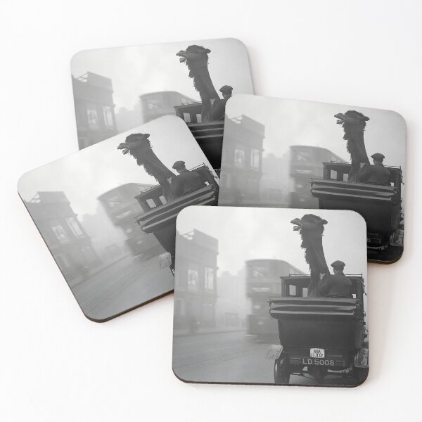 Item preview, To All the Humps I've Loved Before; funny camel in a London black cab vintage black and white photograph designed and sold by Astrid Arkhangelsky.