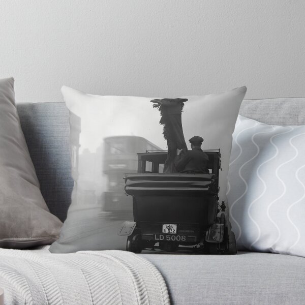 Item preview, To All the Humps I've Loved Before; funny camel in a London black cab vintage black and white photograph designed and sold by Astrid Arkhangelsky.